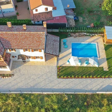 Lavandula - Matulini Porec